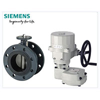 ���T���p���m���yVFF41